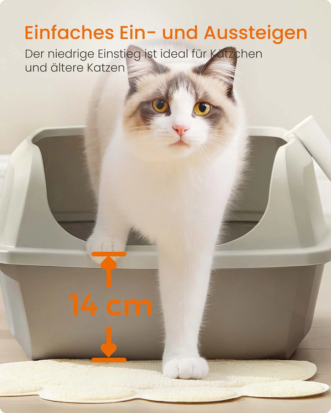 Productafbeelding 5